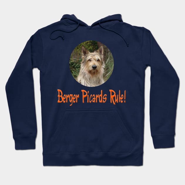 Berger Picards Rule! Hoodie by Naves